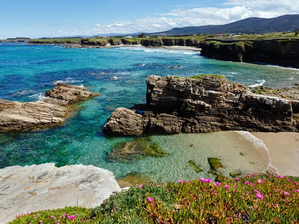 Atlantic blossoming coastline (Spain). — Stock Photo, Image