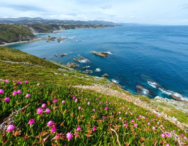 Cape Vidio kıyı şeridi (Asturyan sahilleri, İspanya).
