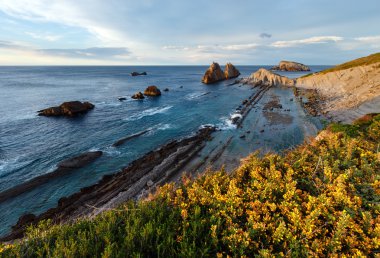 Çiçek açması Arnia kıyı şeridi manzara akşam Beach.