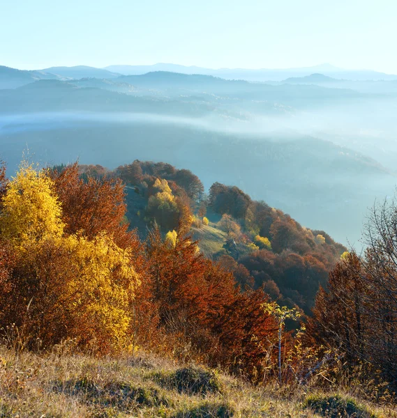 Morgennebel in den herbstlichen Karpaten. — Stockfoto