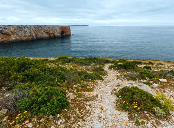 Sommaren Atlantkusten (Kap St. Vincent, Algarve, Portugal). — Stockfoto