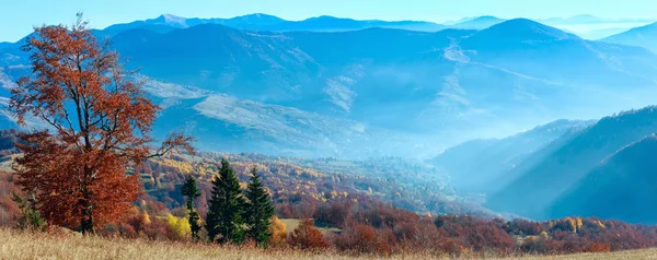 Karpatské podzimní panorama. — Stock fotografie