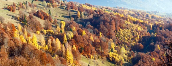 Goldener Herbst in den Bergen. — Stockfoto