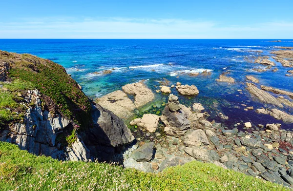 Letní kvetoucí pobřeží Atlantického oceánu (Galicie). — Stock fotografie
