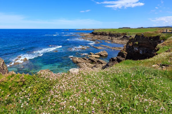Zomer bloeiende Atlantische kust (Galicia). — Stockfoto