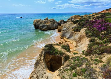 Atlantik çiçek açması sahil görünümü (Algarve, Portekiz).