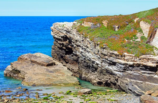 Zomer bloeiende Atlantische kust (Galicia). — Stockfoto