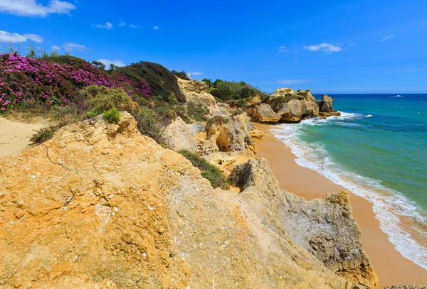 Vista costeira em flor do Atlântico (Algarve, Portugal ). — Fotografia de Stock