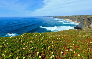 Yaz Atlantik Okyanusu kıyısında (Algarve, Portekiz).