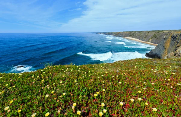 Καλοκαίρι ακτή του Ατλαντικού Ωκεανού (Algarve, Πορτογαλία). — Φωτογραφία Αρχείου