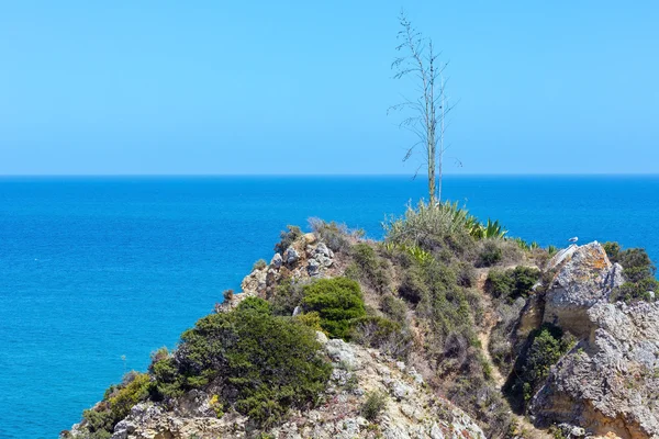 Atlantic rocky coast — Stock Photo, Image