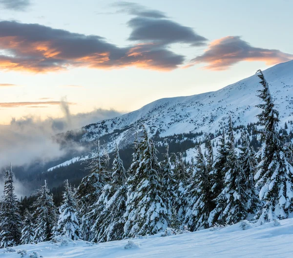 Nascer do sol inverno paisagem de montanha (Cárpatos ). — Fotografia de Stock