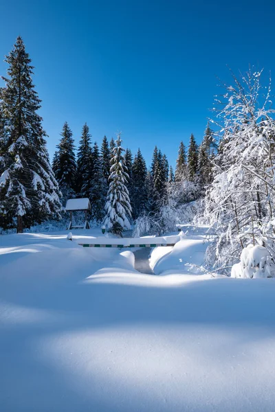 アルパイン山の雪の冬のモミの森雪のドリフトと凍結小さなストリーム — ストック写真