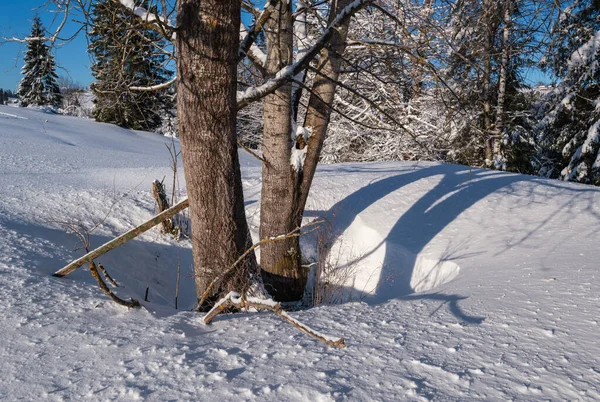 Landsbygdskullar Lundar Och Jordbruksmark Vintern Avlägsen Alpin Bergsby — Stockfoto