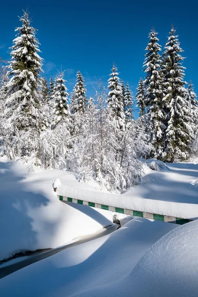 Alpine Berg Besneeuwde Winter Sparren Bos Met Sneeuwverschuivingen Bevroren Kleine — Stockfoto