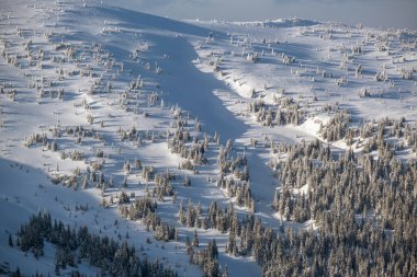 Kar dün akşam günbatımında karlı dağ yamacında köknar ağaçlarını kapladı. Muhteşem alacakaranlıkta serbest kayak yapmak için dağlık yamaçta.