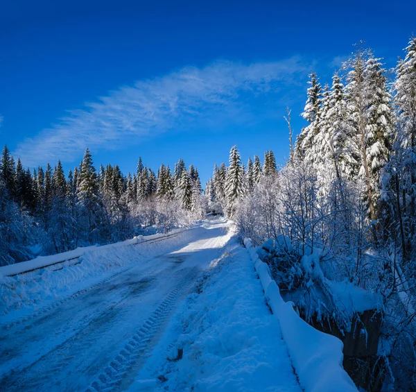 通过雪地冷杉林 雪地漂移和路边木栅栏通往偏远山区村落的二级乡村高山道路 — 图库照片