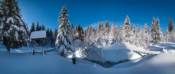 Floresta Abeto Inverno Nevada Montanha Alpina Com Snowdrifts Pequeno Córrego — Fotografia de Stock