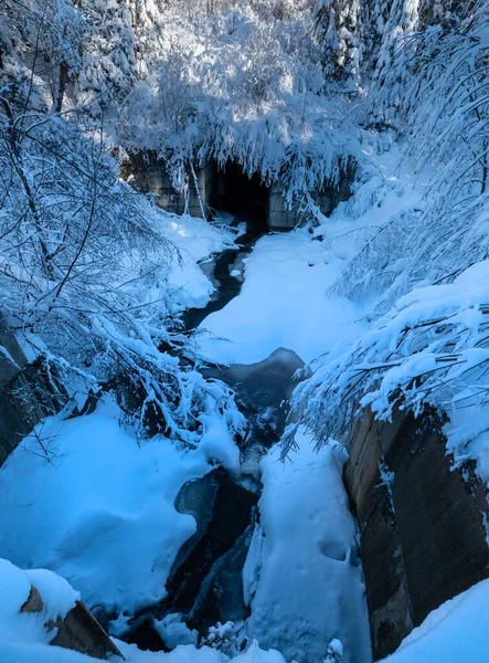 Forêt Hiver Enneigée Montagne Alpine Avec Dérives Neige Petit Ruisseau — Photo