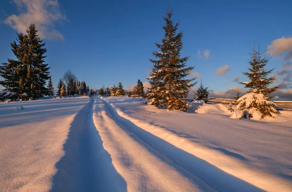 Winter Besneeuwde Heuvels Sporen Landelijke Onverharde Weg Bomen Gisteravond Zonsondergang — Stockfoto