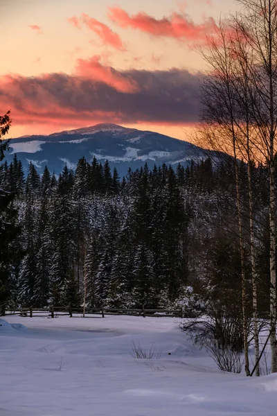 Zimní Západ Slunce Alpský Vrchol Pohled Horské Vesnice Jedlového Lesa — Stock fotografie