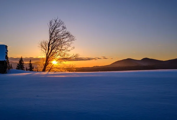 Pequeño Tranquilo Pueblo Alpino Las Afueras Amanecer Invierno Montañas Nevadas — Foto de Stock