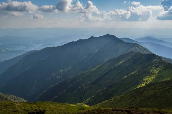 Letni Wieczór Góry Marmaros Ogromny Krajobraz Karpaty Ukraina — Zdjęcie stockowe