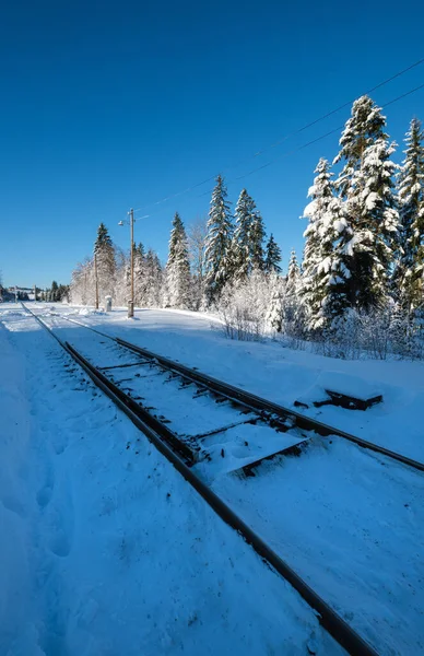 カルパチア山脈の雪のモミの森とリモート高山ヘルメットを介して鉄道 道端に雪のドリフト — ストック写真