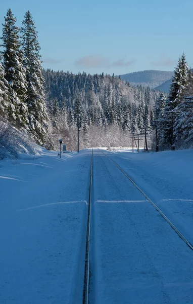 Ferroviária Através Floresta Abeto Nevado Capacete Alpino Remoto Nas Montanhas — Fotografia de Stock