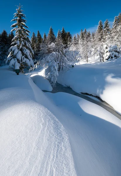 Montaña Alpina Nevado Bosque Abeto Invierno Con Ventisqueros Pequeño Arroyo —  Fotos de Stock