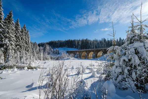 Steinviadukt Bogenbrücke Auf Der Eisenbahn Durch Schneebedeckten Tannenwald Schneeverwehungen Wegesrand — Stockfoto