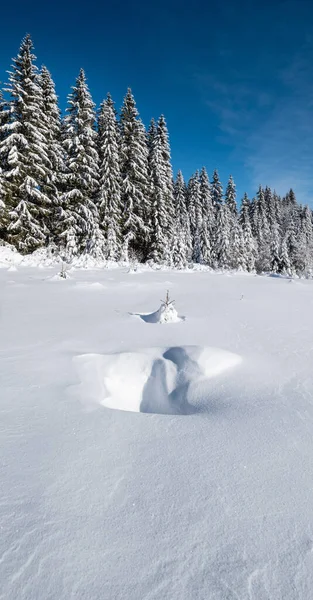 Alpejska Góra Śnieżny Zimowy Las Jodłowy Zaspy Śnieżne — Zdjęcie stockowe