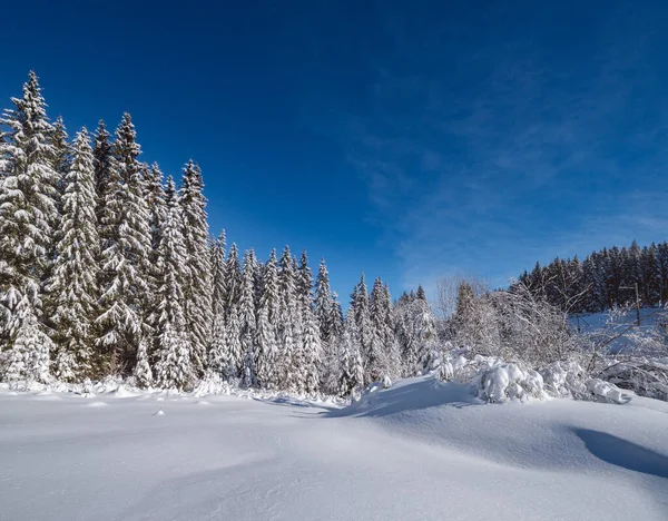 Alpejska Góra Śnieżny Zimowy Las Jodłowy Zaspy Śnieżne — Zdjęcie stockowe