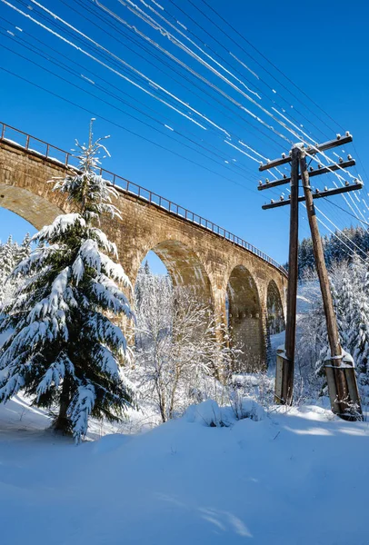 铁路上穿越雪山冷杉林的石塔 路边飘雪 树上和电线上结霜 — 图库照片