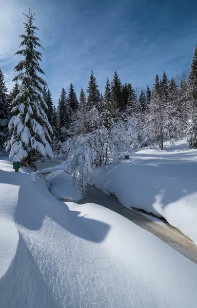 アルパイン山の雪の冬のモミの森雪のドリフトと凍結小さなストリーム — ストック写真