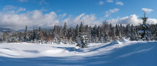 冬のリモート高山村の郊外 山のモミの森の端に雪のドリフト 新鮮な曲がりくねったハイキングトレイルのパス上の観光バックパック 高解像度パノラマ — ストック写真