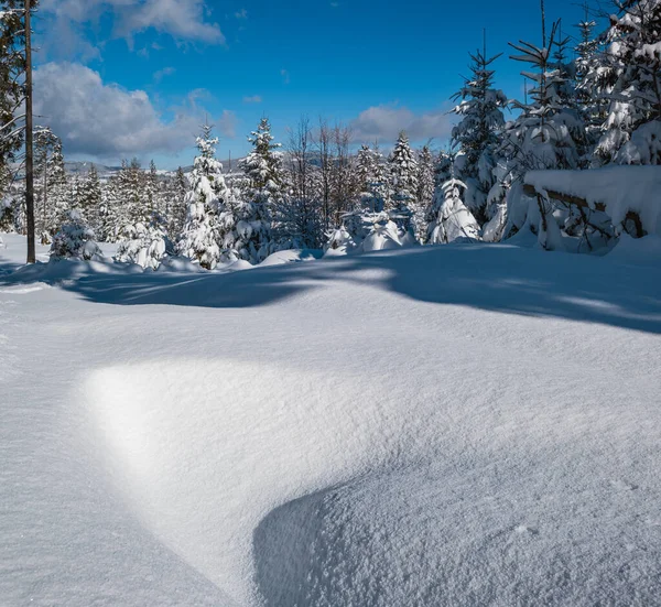 Montaña Alpina Nevado Bosque Abeto Invierno Con Ventisqueros — Foto de Stock