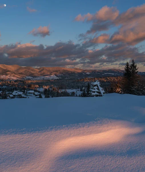 昨晚夕阳西下的高山村郊 冬天的雪山和冷杉树 场深度大的高分辨率针迹图像 — 图库照片