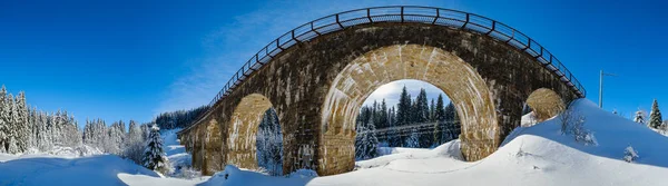 Viaducto Piedra Puente Arco Ferrocarril Través Del Bosque Abeto Nevado — Foto de Stock