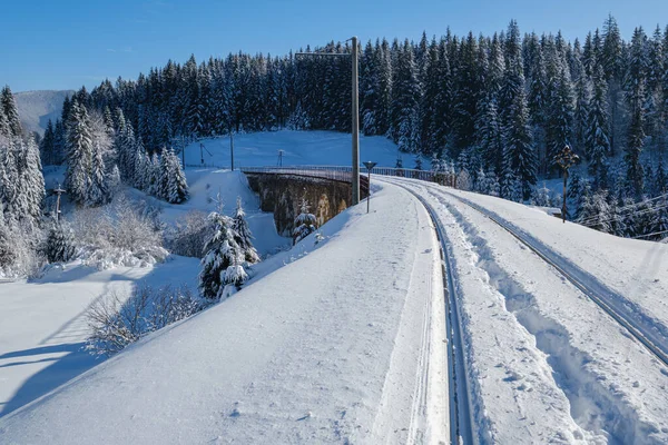 Viaducto Piedra Puente Arco Ferrocarril Través Del Bosque Abeto Nevado — Foto de Stock