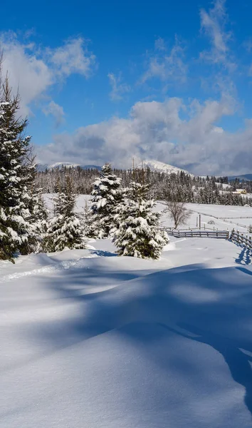 Winterabgelegene Alpine Bergdörfer Rande Hügel Auf Dem Land Wälder Und — Stockfoto