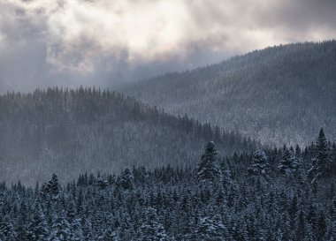 Dağ köyünden köknar ve çam ormanı manzaralı kış tepeleri. Resimli seyahat, yürüyüş, mevsimlik doğa ve kırsal güzellik kavramı arka plan sahnesi.