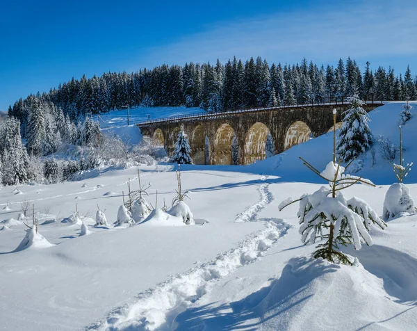 Stone viaduct (arch bridge) on railway through mountain snowy fir forest. Snow drifts  on wayside and hoarfrost on trees.