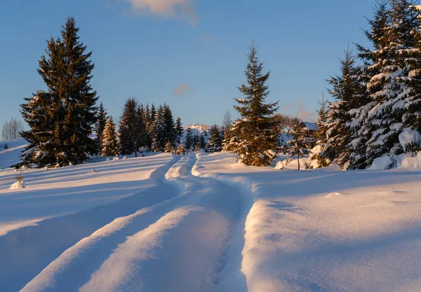 Colinas Nevadas Inverno Trilhas Estrada Terra Rural Árvores Luz Sol — Fotografia de Stock