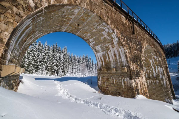 Kamenný Viadukt Obloukový Most Železnici Zasněženým Jedlovým Lesem Sníh Snáší — Stock fotografie