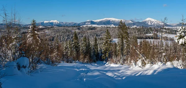 Winter Afgelegen Alpine Dorp Rand Platteland Heuvels Bossen Landbouwgronden Uitzicht — Stockfoto