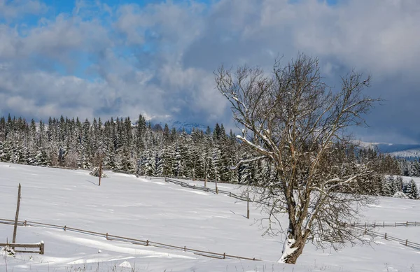 Zimní Vzdálené Alpské Horské Vesnice Okraji Krajiny Kopce Háje Zemědělské — Stock fotografie