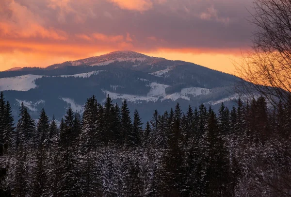 从前面的山村和冷杉林可以俯瞰冬日落日的高山美景 风景秀丽的季节 自然和乡村美景概念风景 — 图库照片