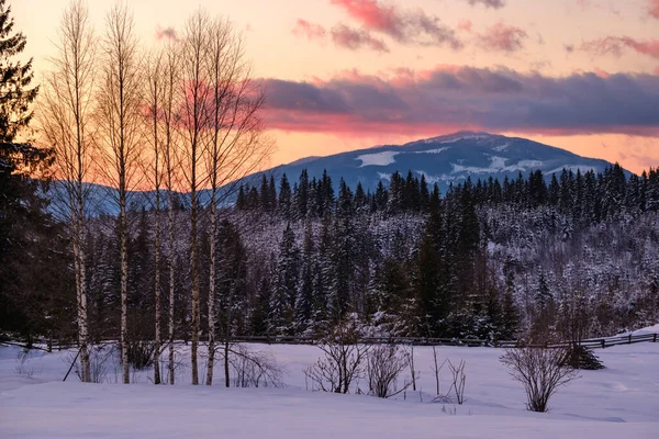 Zimní Západ Slunce Alpský Vrchol Pohled Horské Vesnice Jedlového Lesa — Stock fotografie