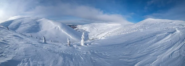 Sneeuw Bedekt Dennenbomen Besneeuwde Bergplateau Toppen Met Sneeuw Kroonlijsten Verre — Stockfoto